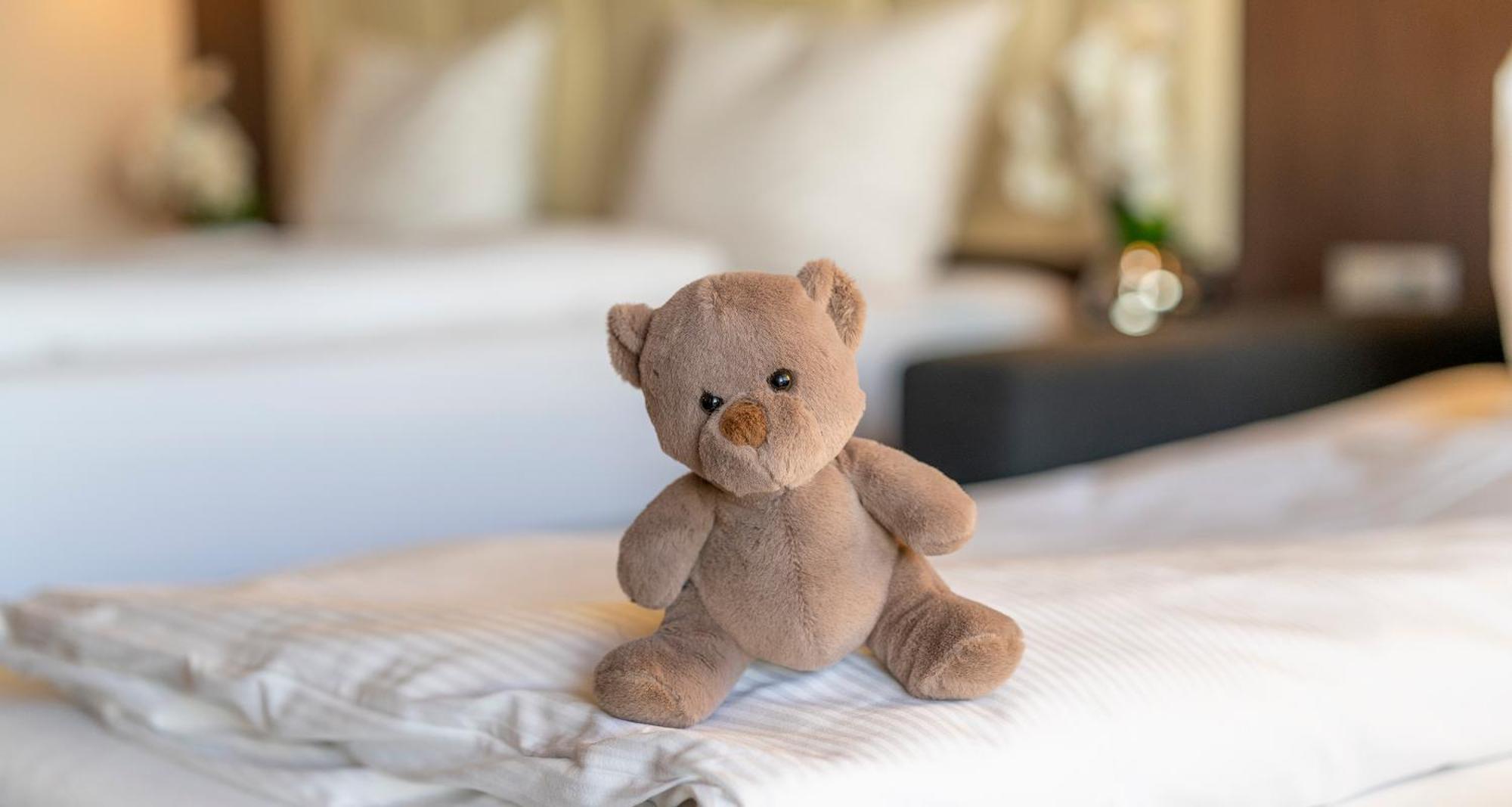 FDH Plaza Hotel Foehr Am Bodensee מראה חיצוני תמונה