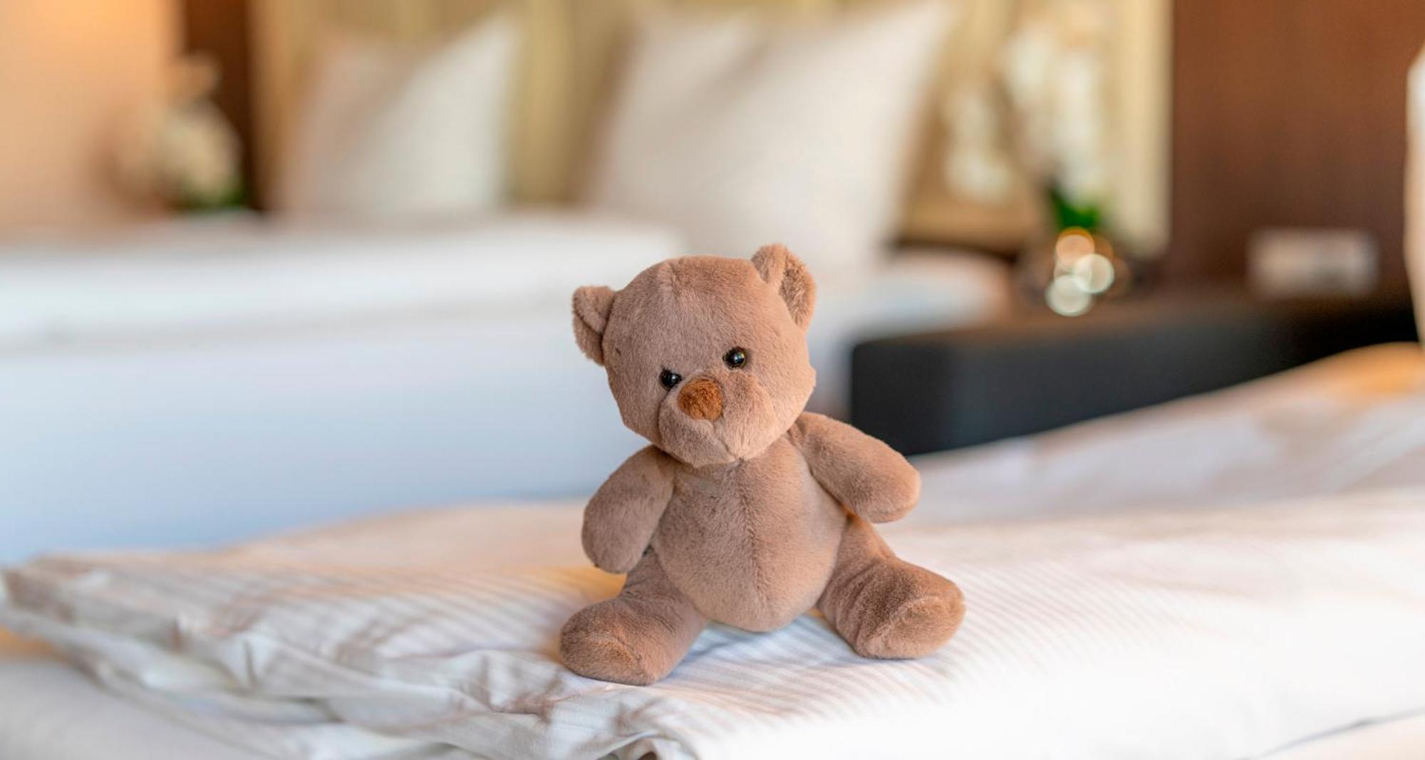 FDH Plaza Hotel Foehr Am Bodensee חדר תמונה